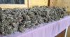 Islandski lisaj